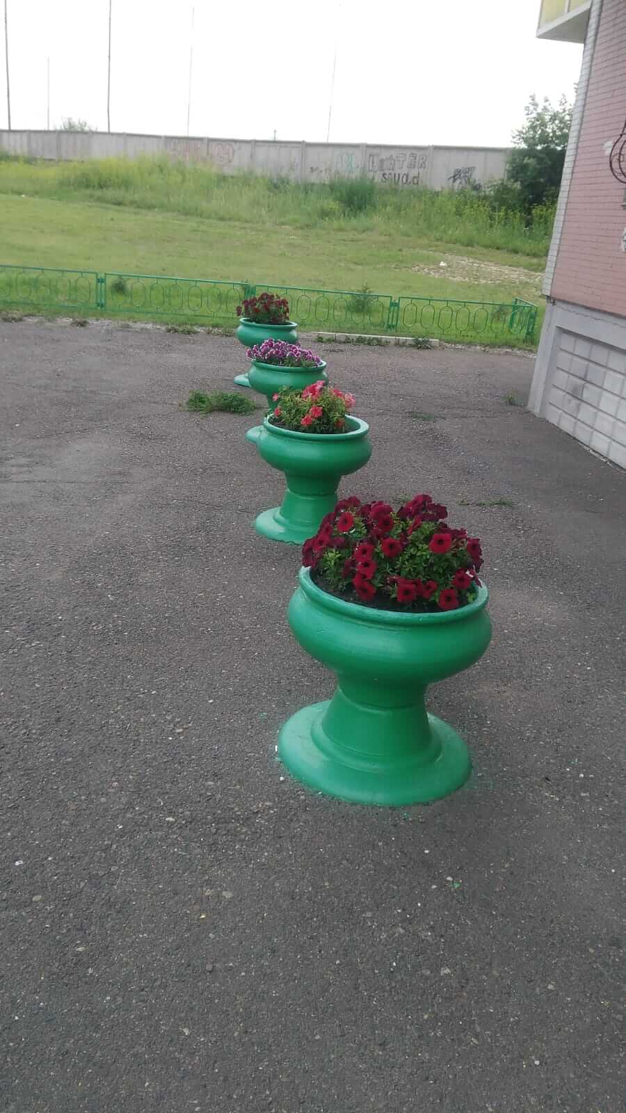 Цветы в этом году